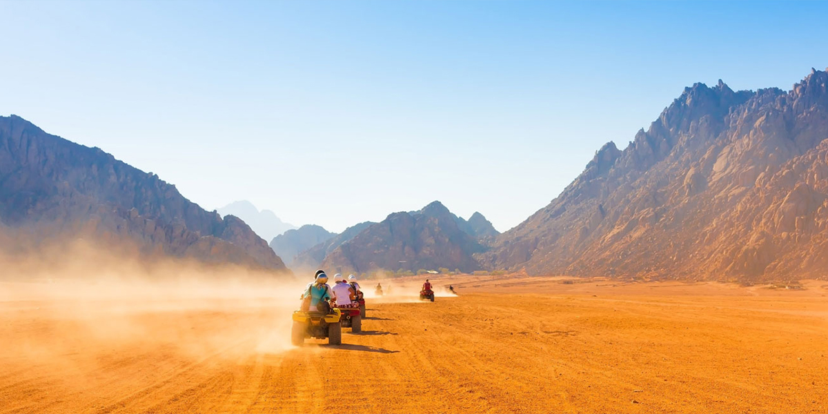 Una Noche de Safari en Egipto - Egypt Tours Portal