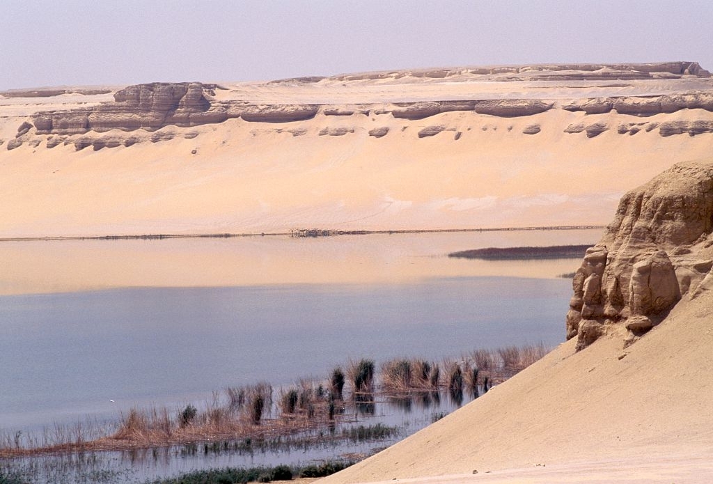 El Oasis de El Fayum en Egipto | Egypt Tours Portal (ES)