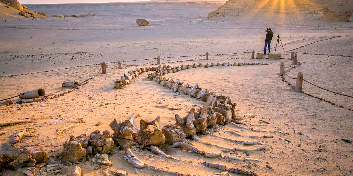 La Ciudad de El Fayum en Egipto - Egypt Tours Portal (ES)