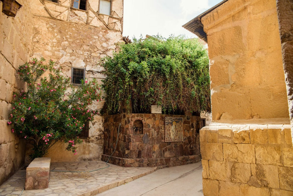 La Zarza Ardiente en el Monasterio de Santa Catalina en el Monte Sinaí Egipto · egypttoursportal.com