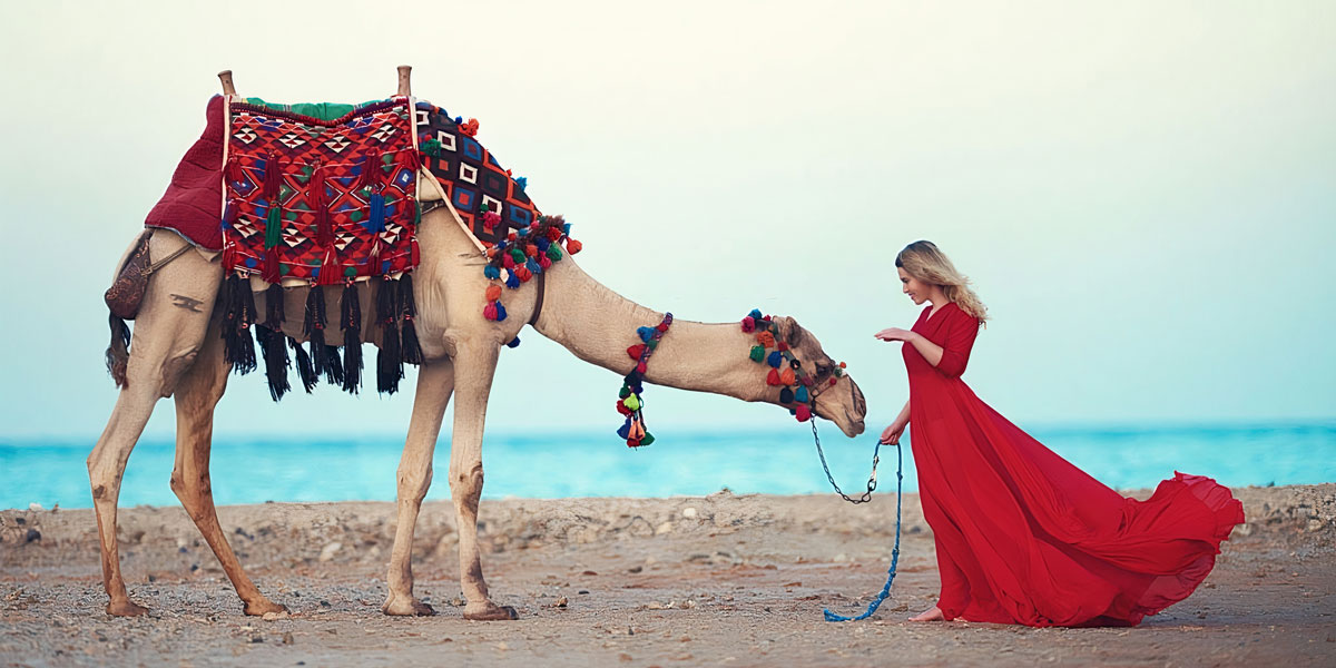 Excursiones desde Bahía de Makadi - Egypt Tours Portal (ES)