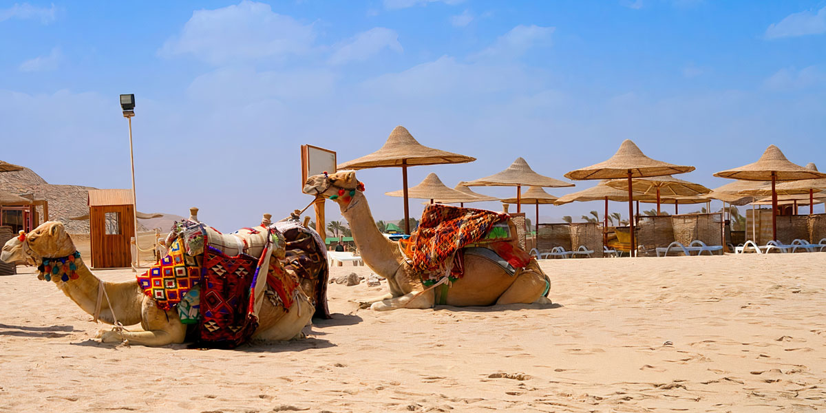 Excursiones desde Marsa Alam - Egypt Tours Portal (ES)