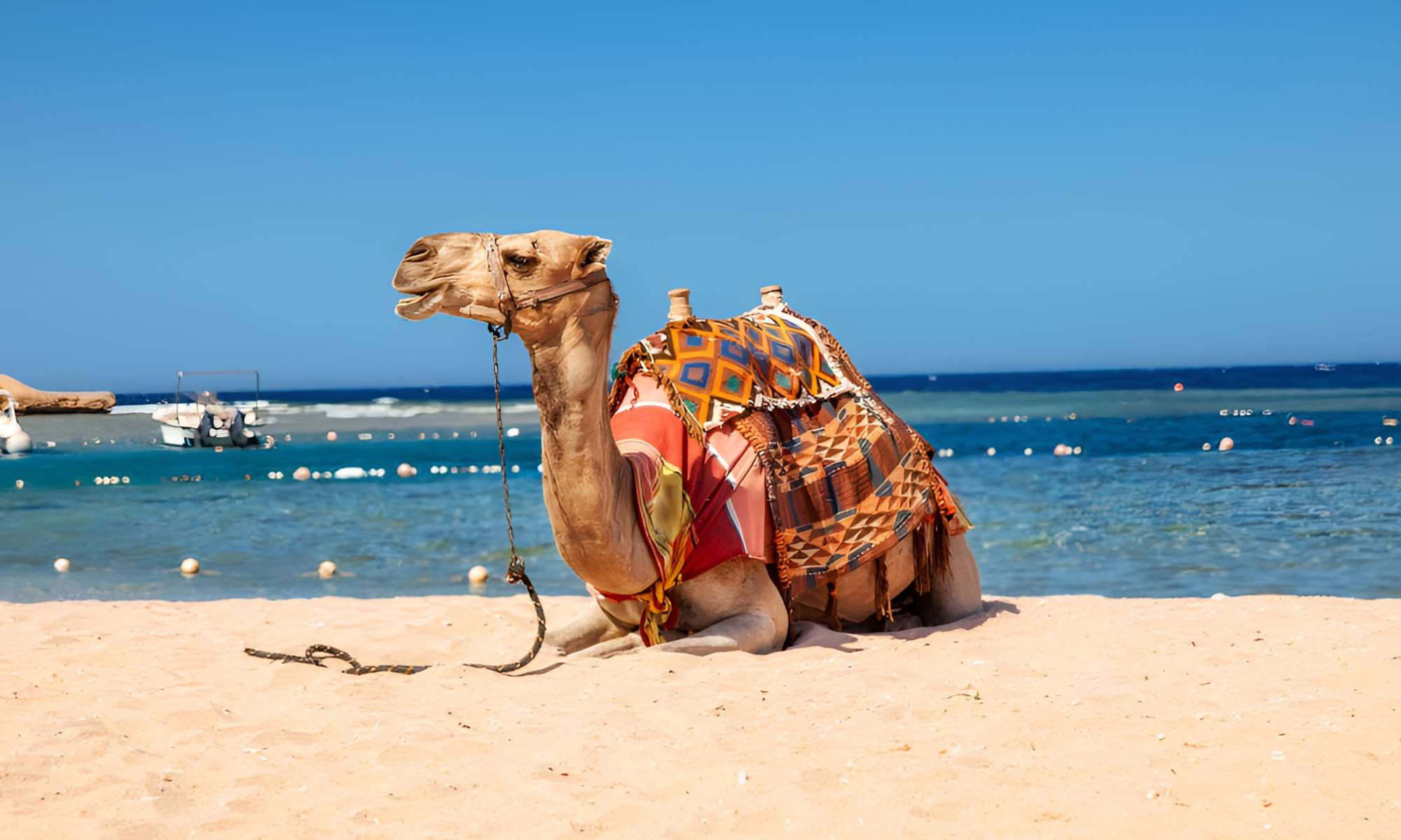 Viaje Accesible de 10 Días en El Cairo, Hurgada y Crucero por el Nilo