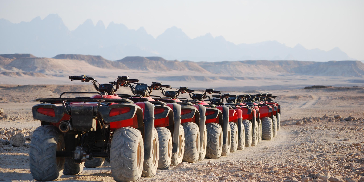 Aventura de Safari desde Marsa Alam
