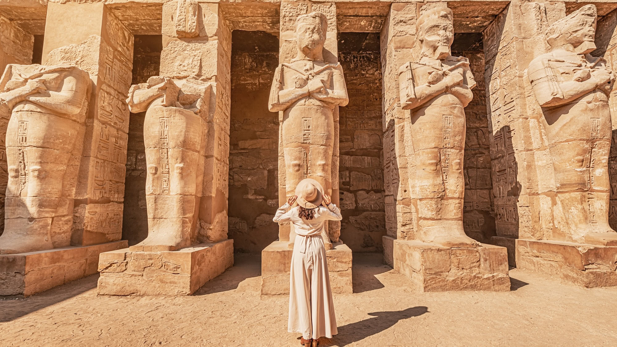 Excursión en Luxor de Un Día en Templos de Karnak y de Luxor