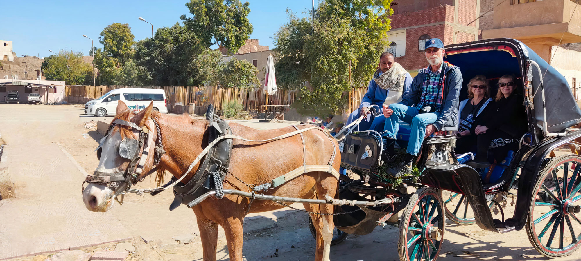 Tour de Carruaje de Caballos en Asuán