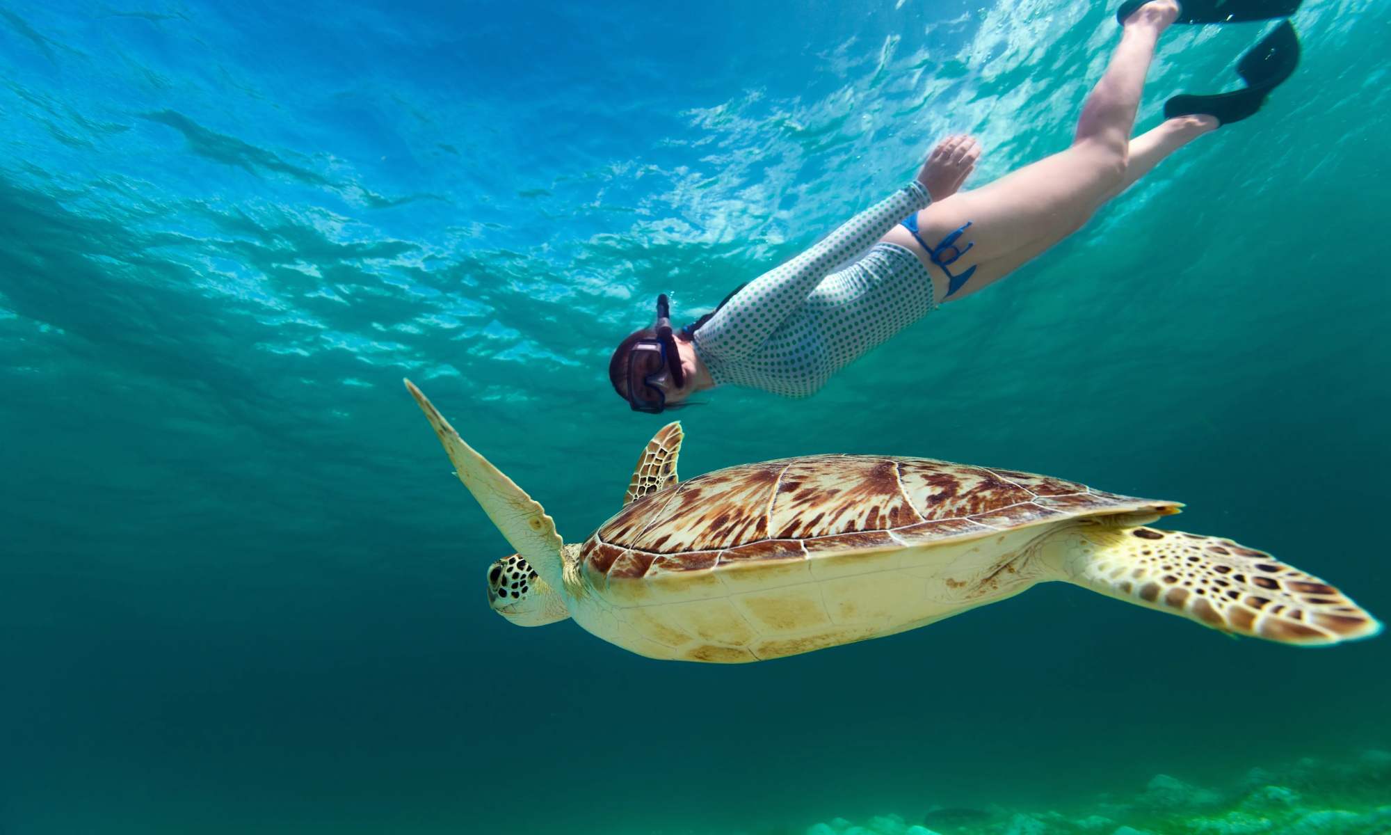 Esnórquel en Bahía de Makadi