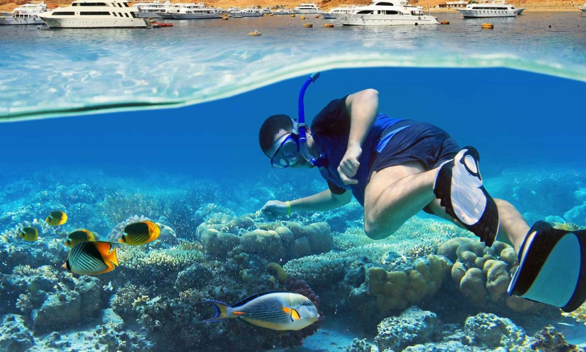 Excursión de Snorkel a Ras Muhammad en un Día