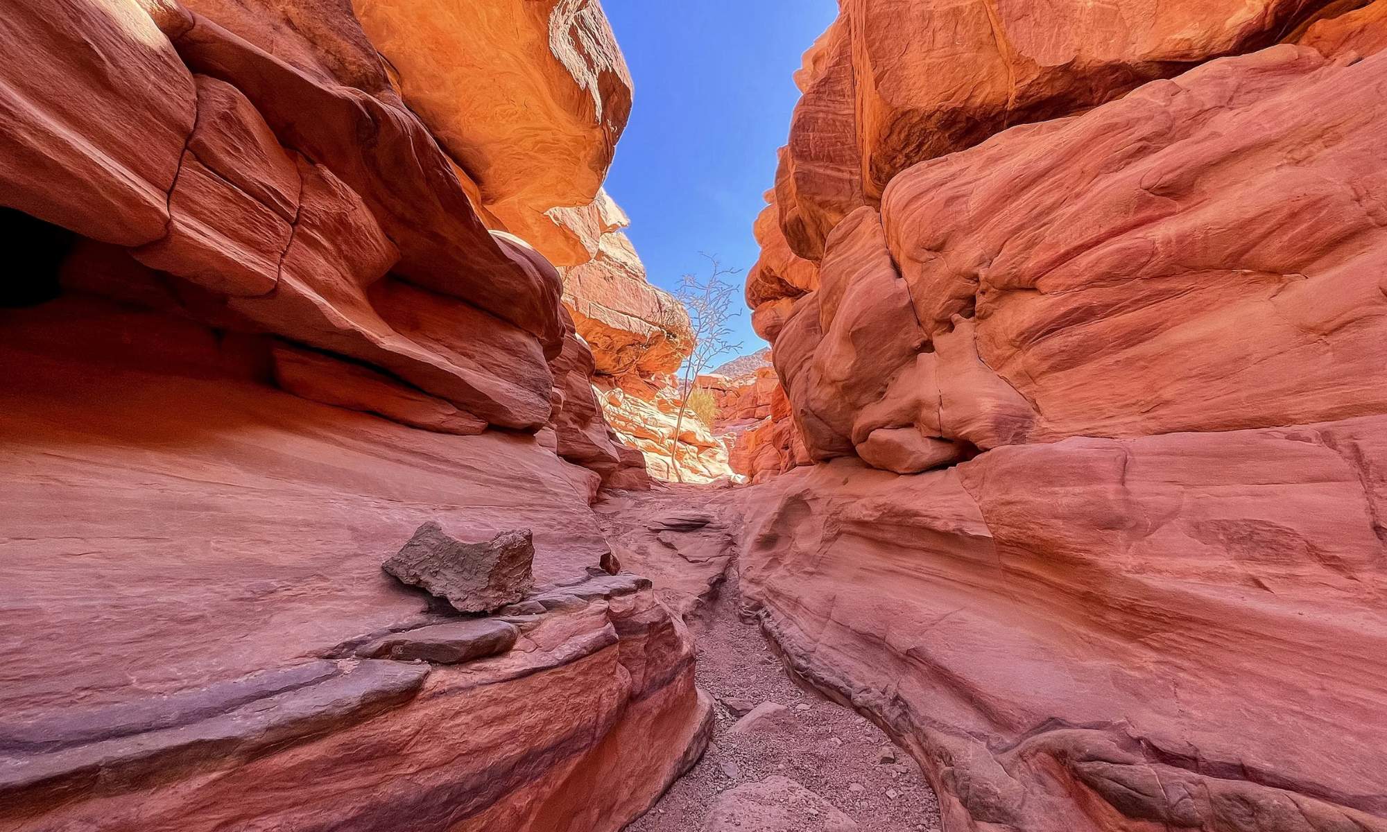 Tour al Cañón Del Colorado desde Sharm El Sheij 1