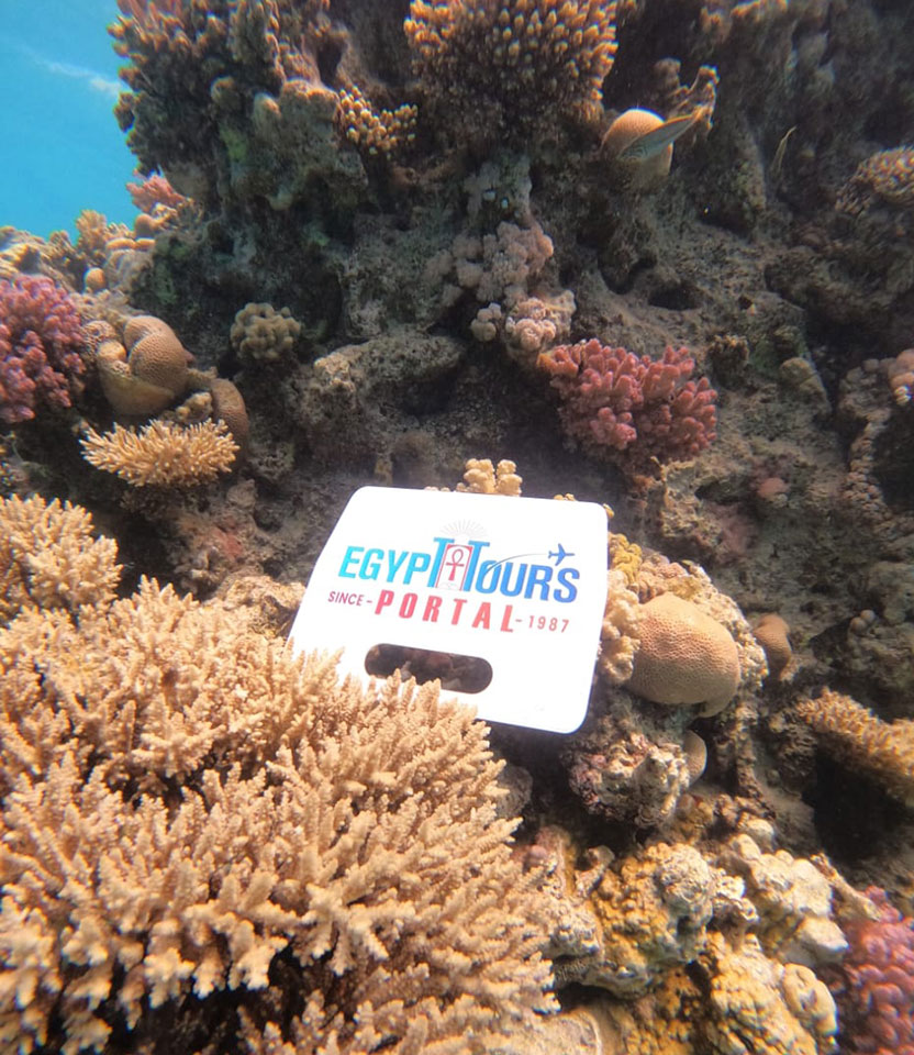 Excursiones desde/en Marsa Alam